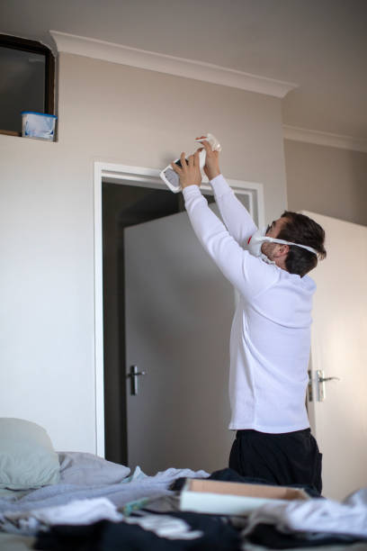 Best Black Mold Removal  in Pineville, KY
